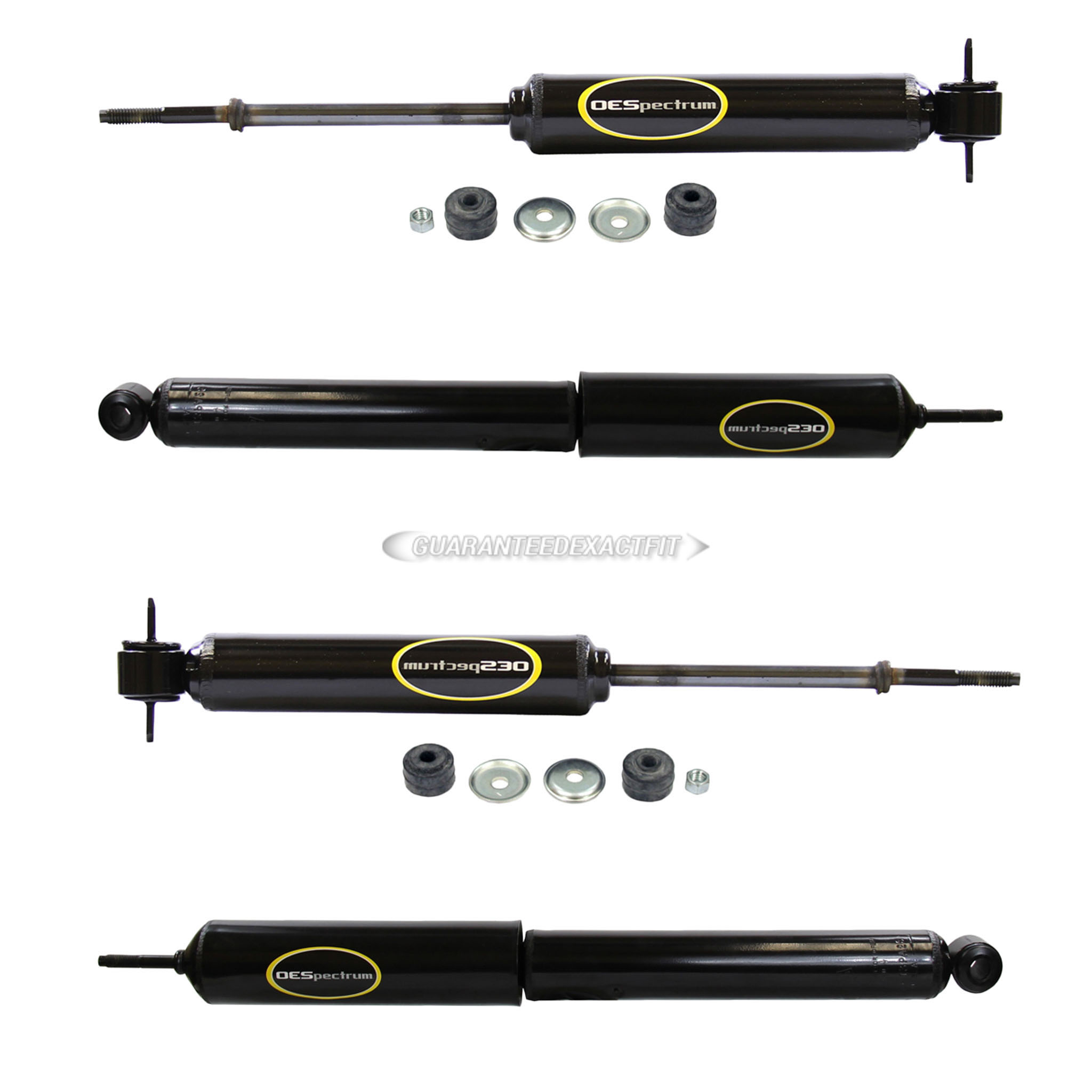 1966 Buick Sportwagon Shock and Strut Set
