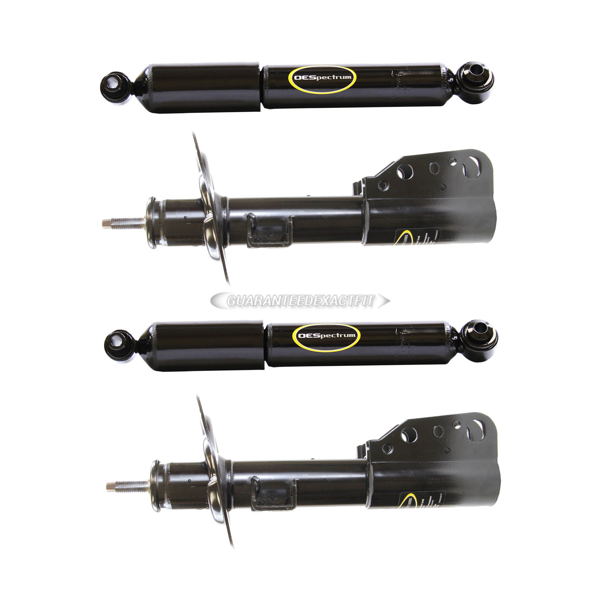 2010 Buick Enclave Shock and Strut Set