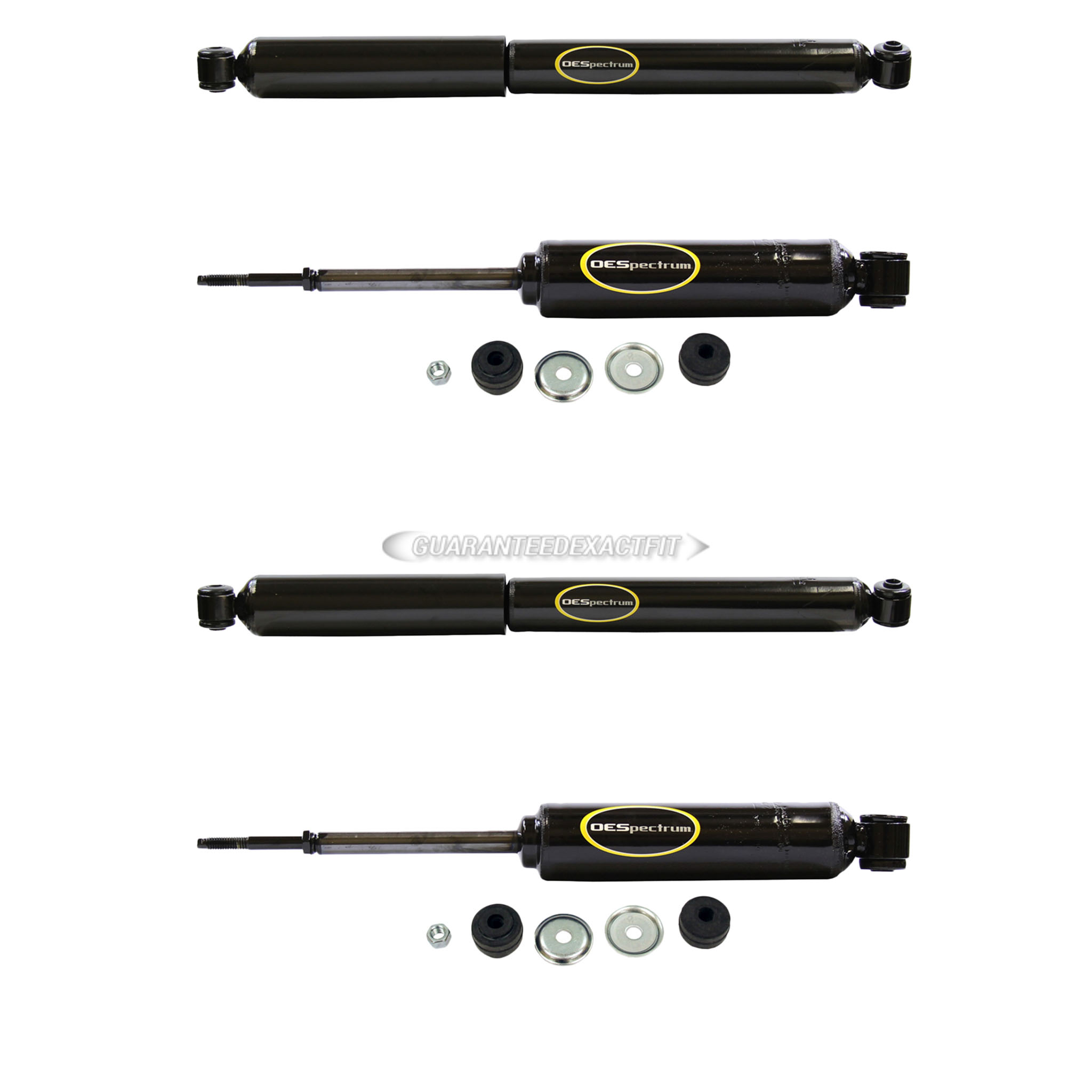 1999 Dodge Dakota Shock and Strut Set
