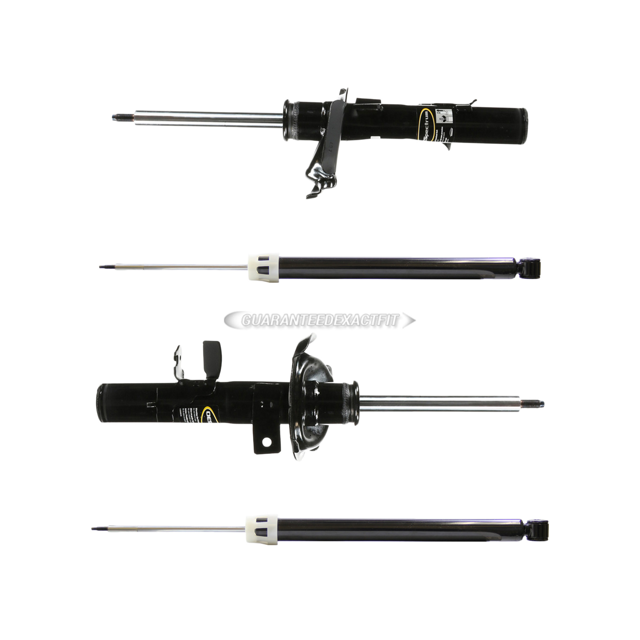 2013 Ford C-Max Shock and Strut Set