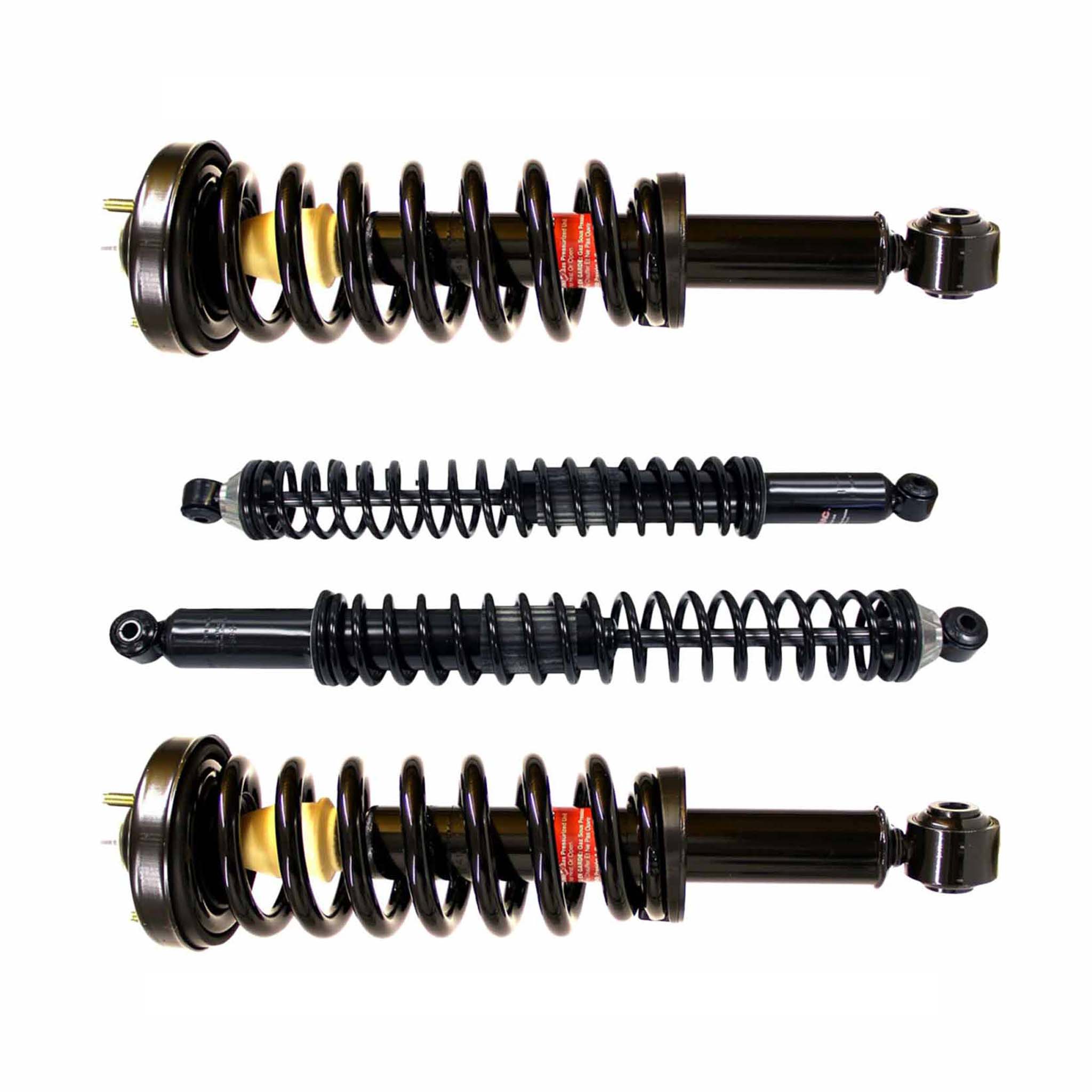 BuyAutoParts 77-69389G8 Shock and Strut Set