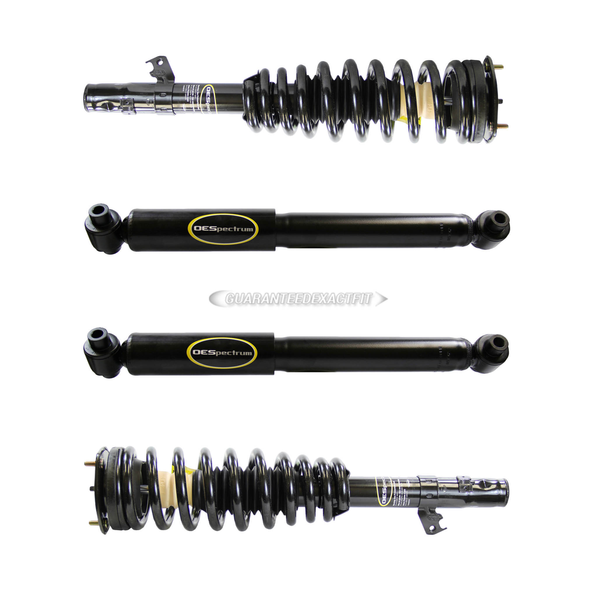 BuyAutoParts 77-69521G4 Shock and Strut Set