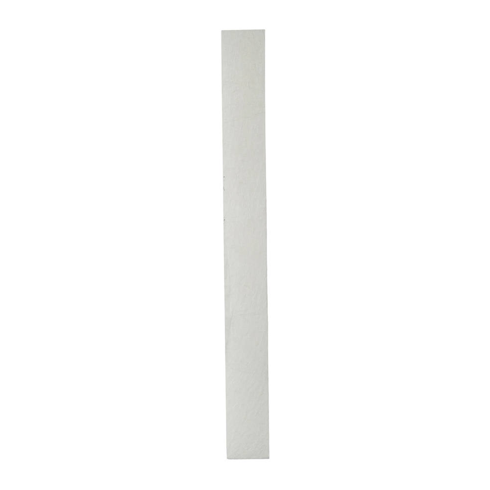 Big Parts EA-82504BIGN Cabin Air Filter