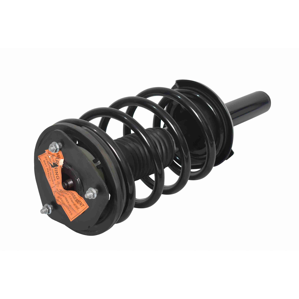 2004 Ford Freestar Strut