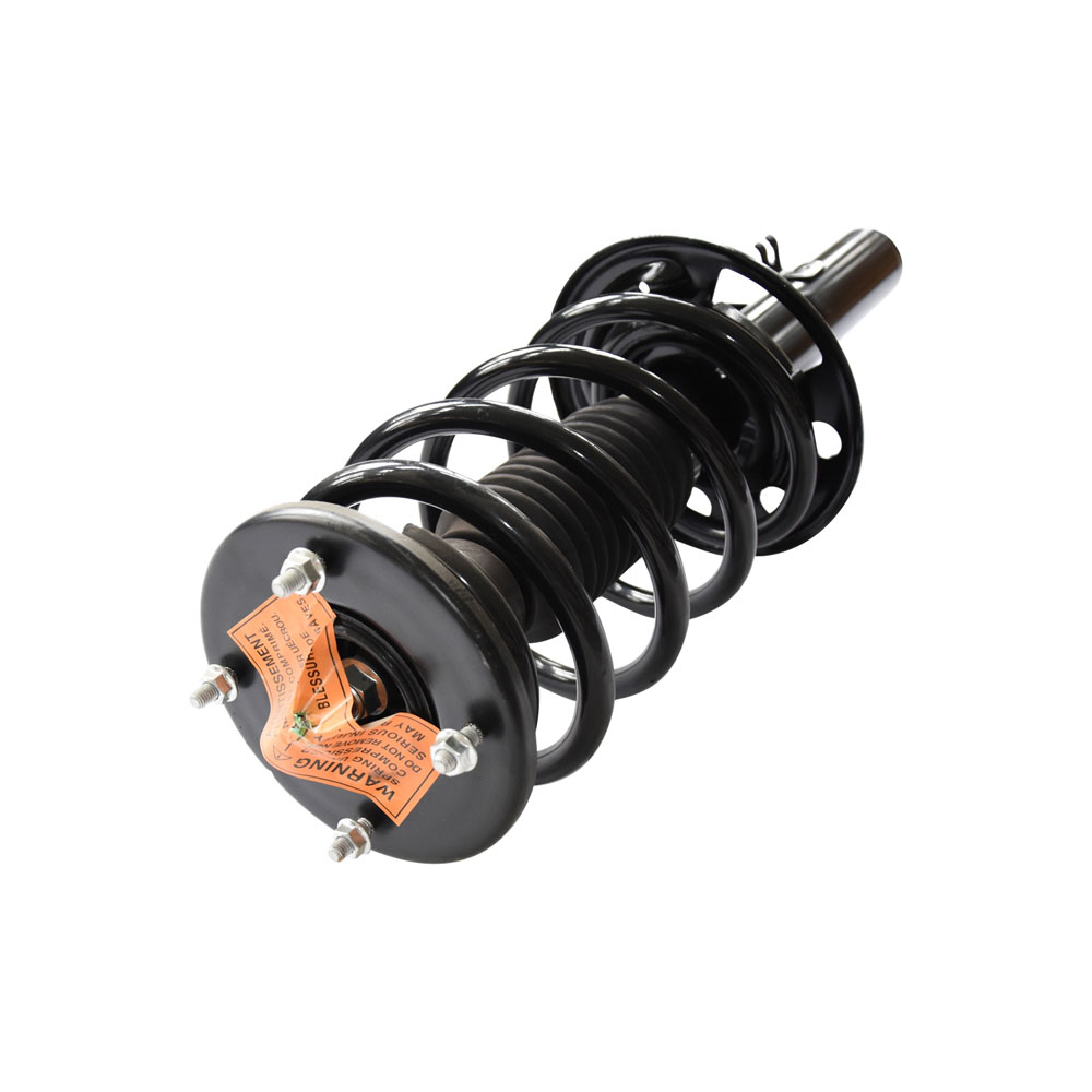 2010 Ford Taurus Strut and Coil Spring Assembly