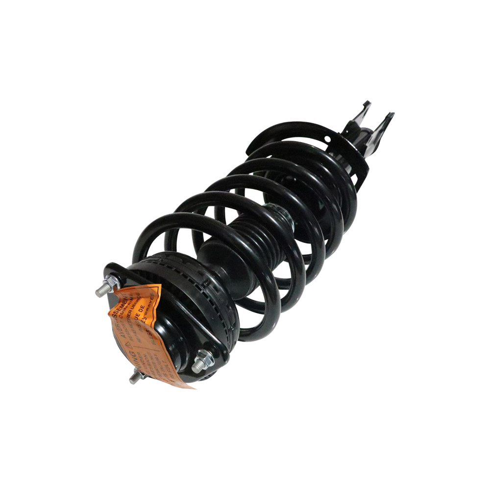 2010 Dodge Grand Caravan Strut and Coil Spring Assembly