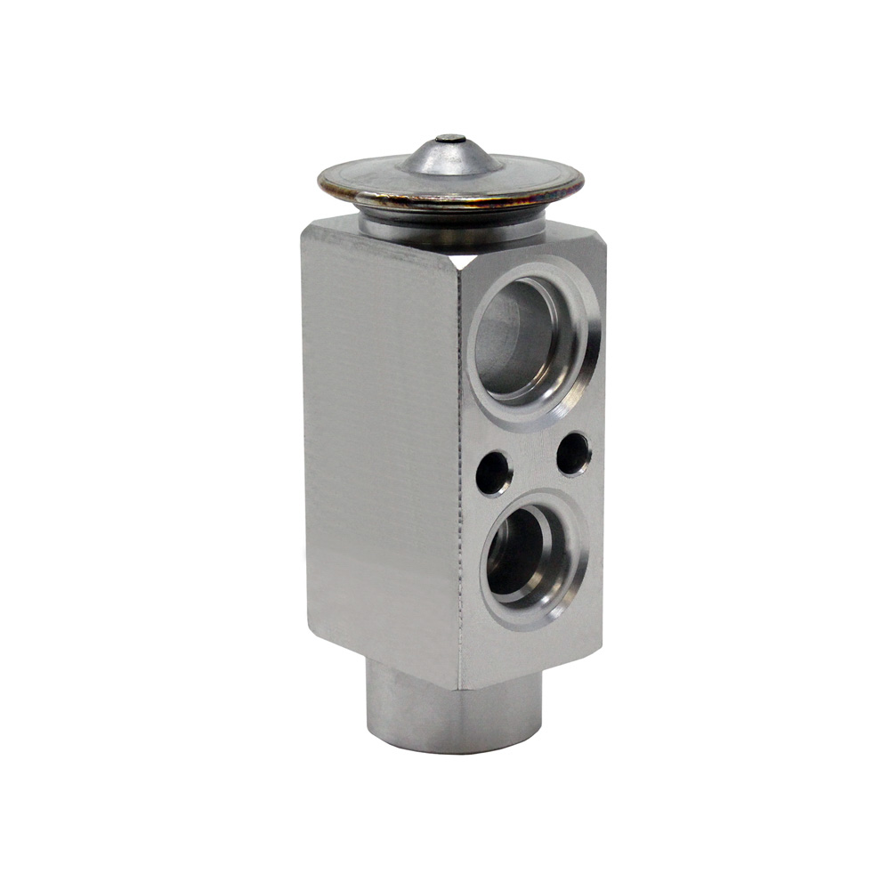 BuyAutoParts 60-43623AN A/C Expansion Device