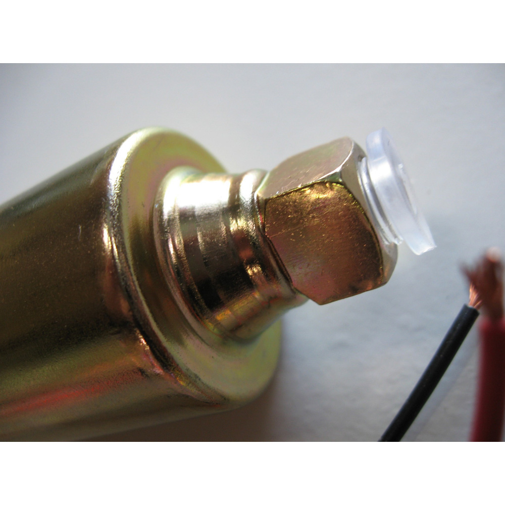 BuyAutoParts 36-10118AN Fuel Pump