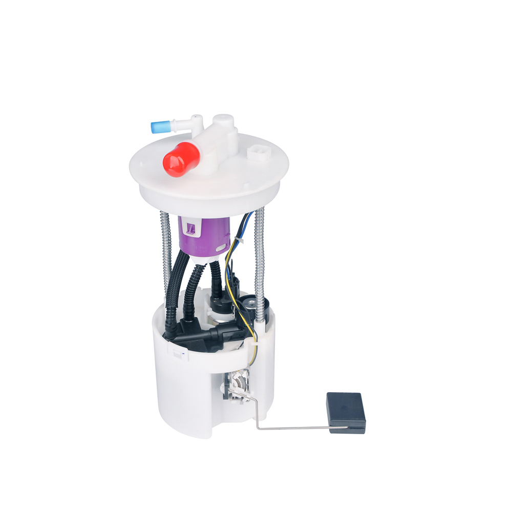 BuyAutoParts 36-01639AN Fuel Pump Assembly