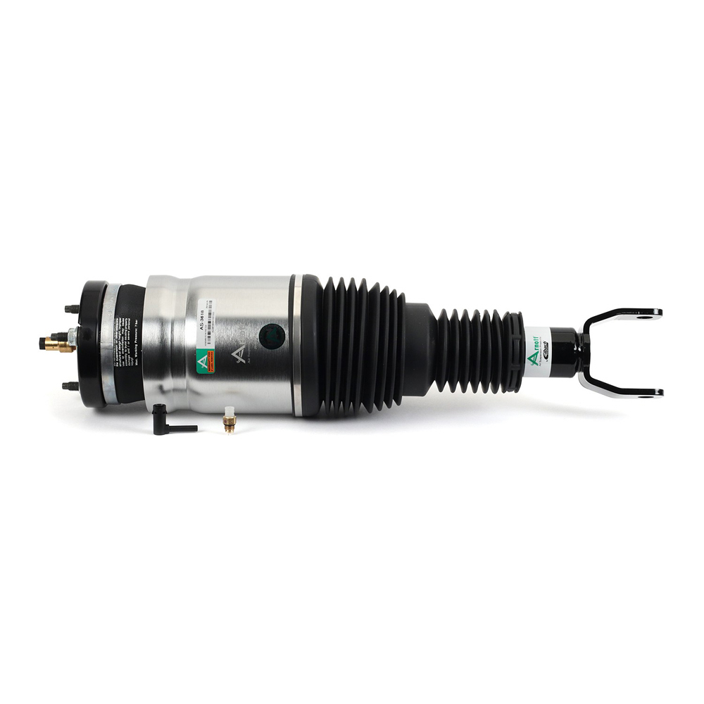 2017 Dodge Ram Trucks Strut