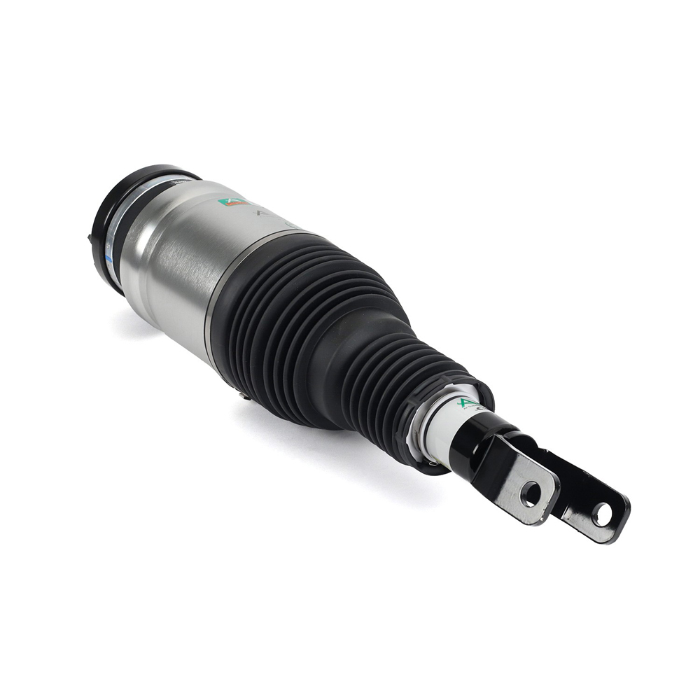 2017 Dodge Ram Trucks Strut