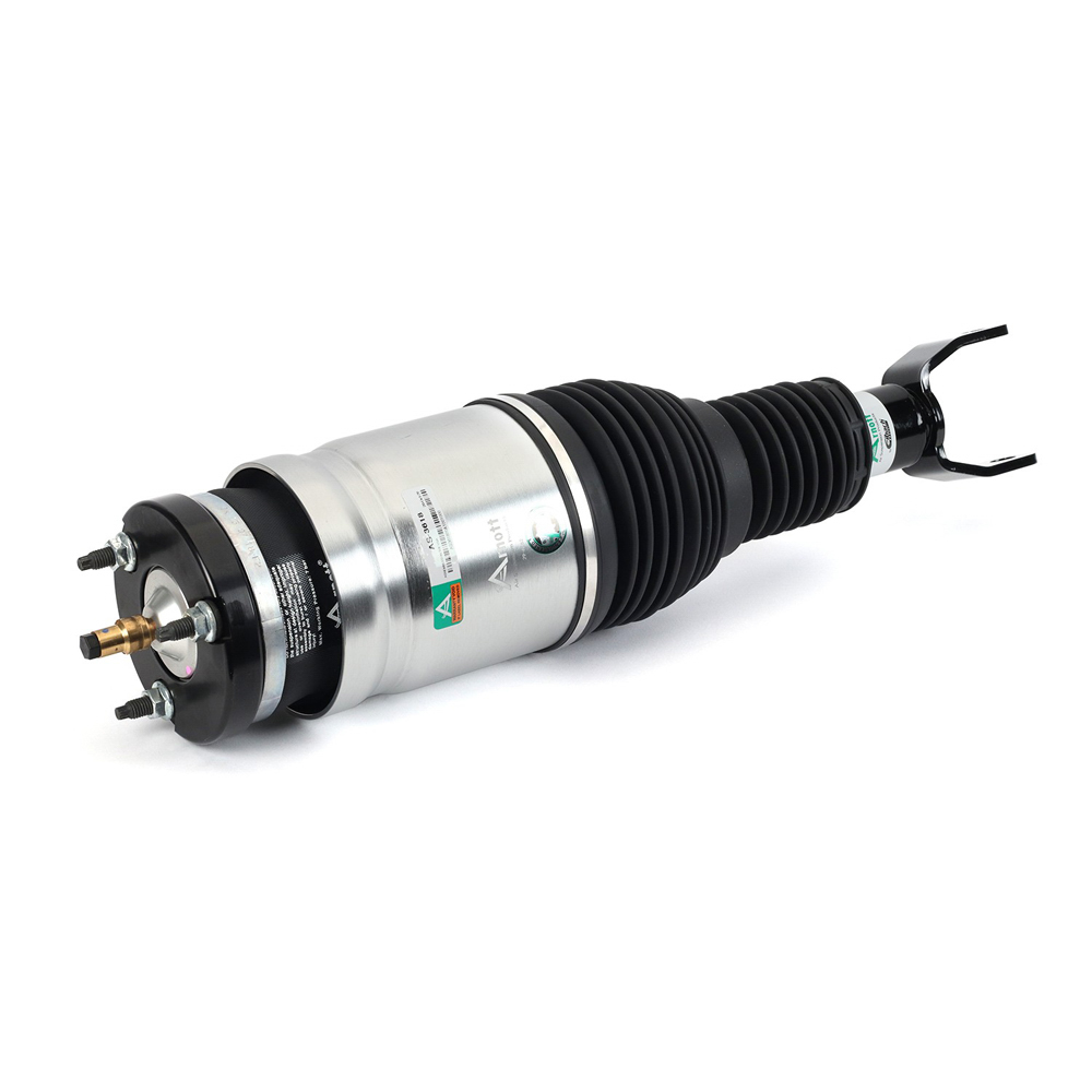 2017 Dodge Ram Trucks Strut
