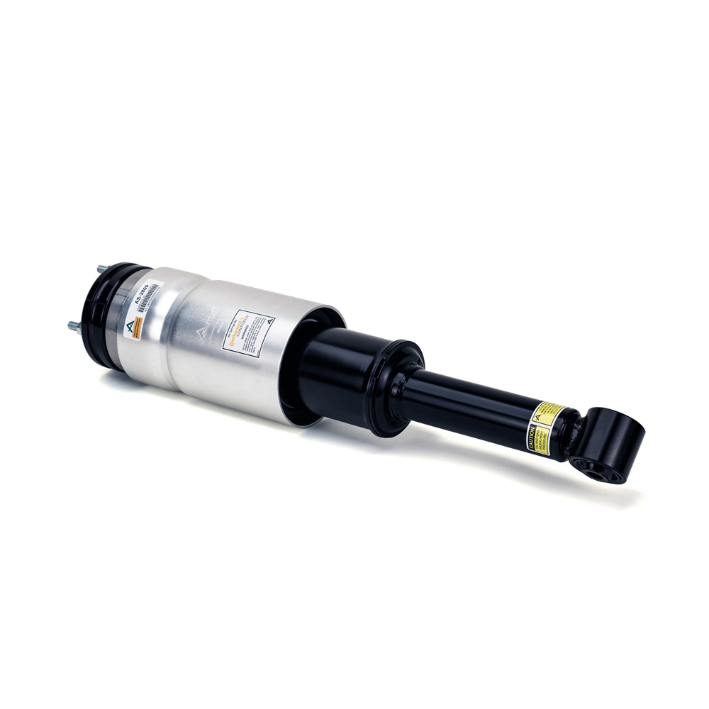 Arnott Industries AS-2809 Strut
