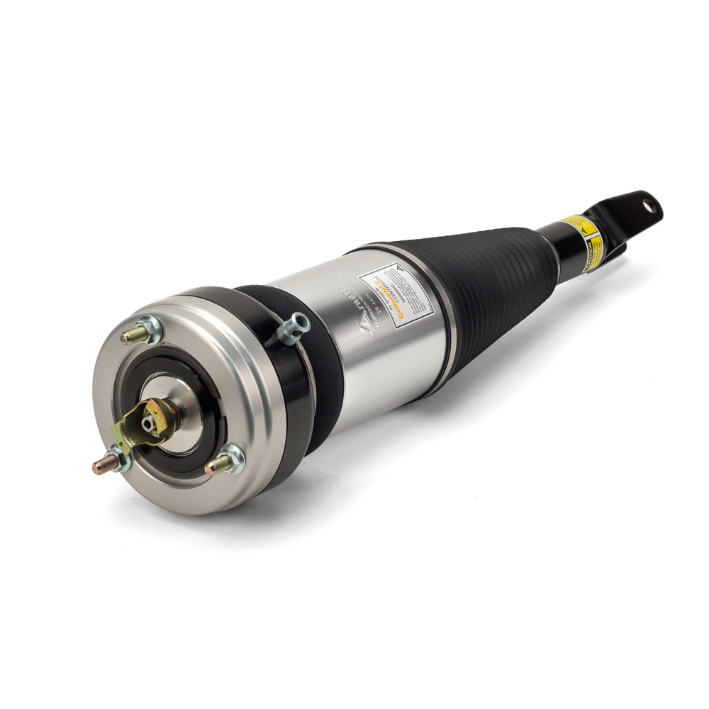2008 Lexus LS460 Strut