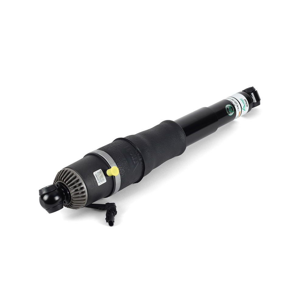 Arnott Industries AS-3066 Shock Absorber