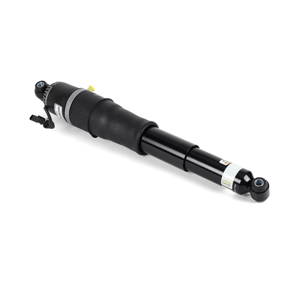 Arnott Industries AS-3066 Shock Absorber