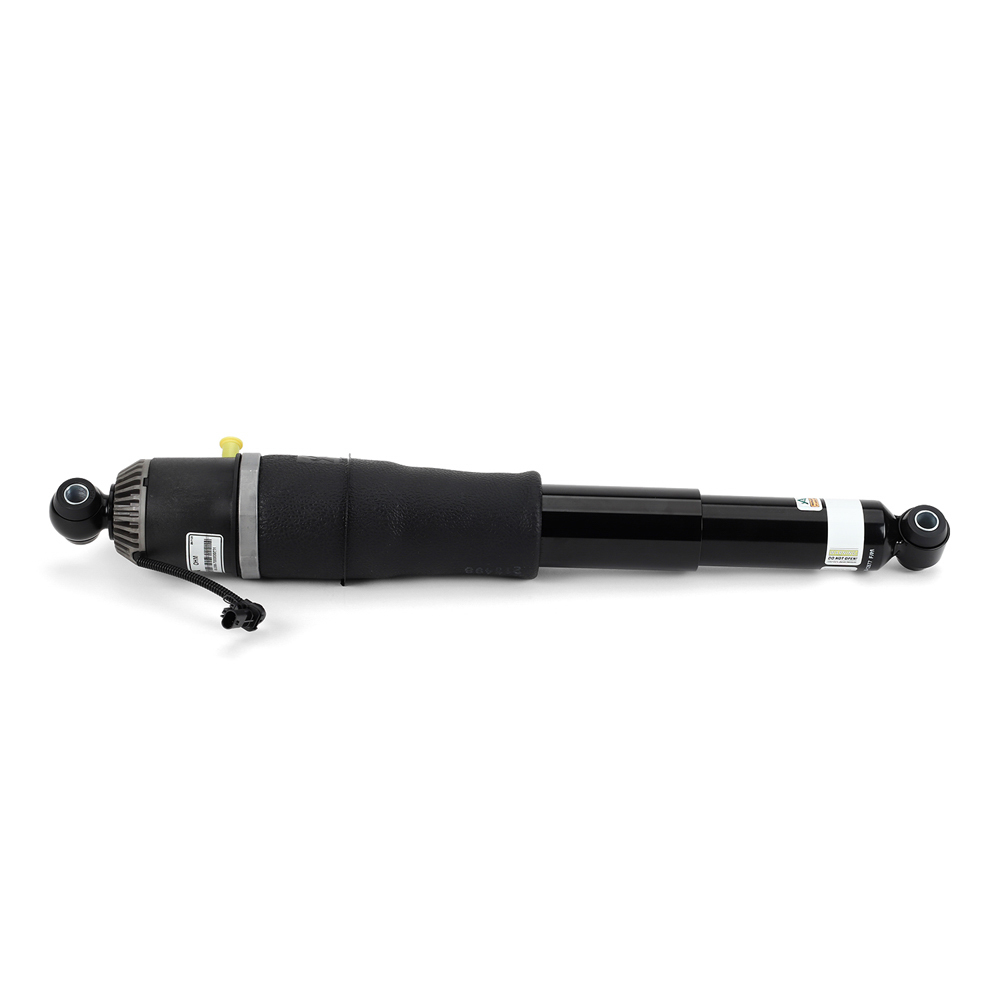 Arnott Industries AS-3066 Shock Absorber