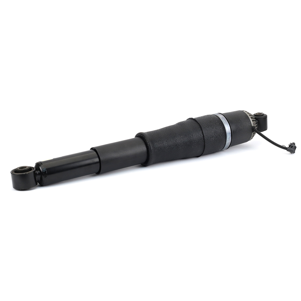 Arnott Industries AS-3429 Shock Absorber