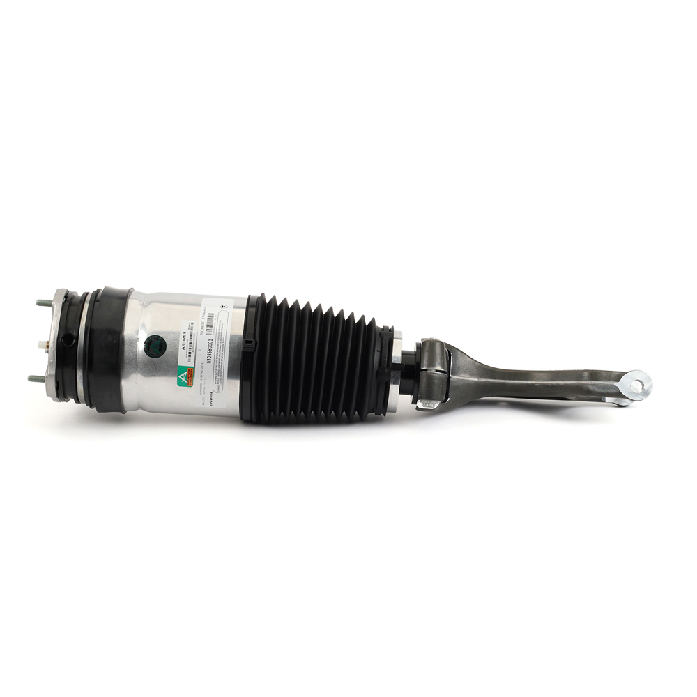 2016 Tesla X Strut