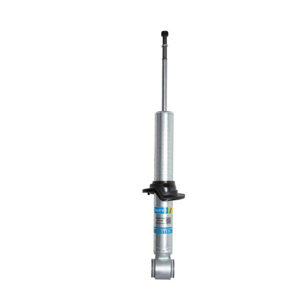 2013 Ford F Series Trucks Shock Absorber
