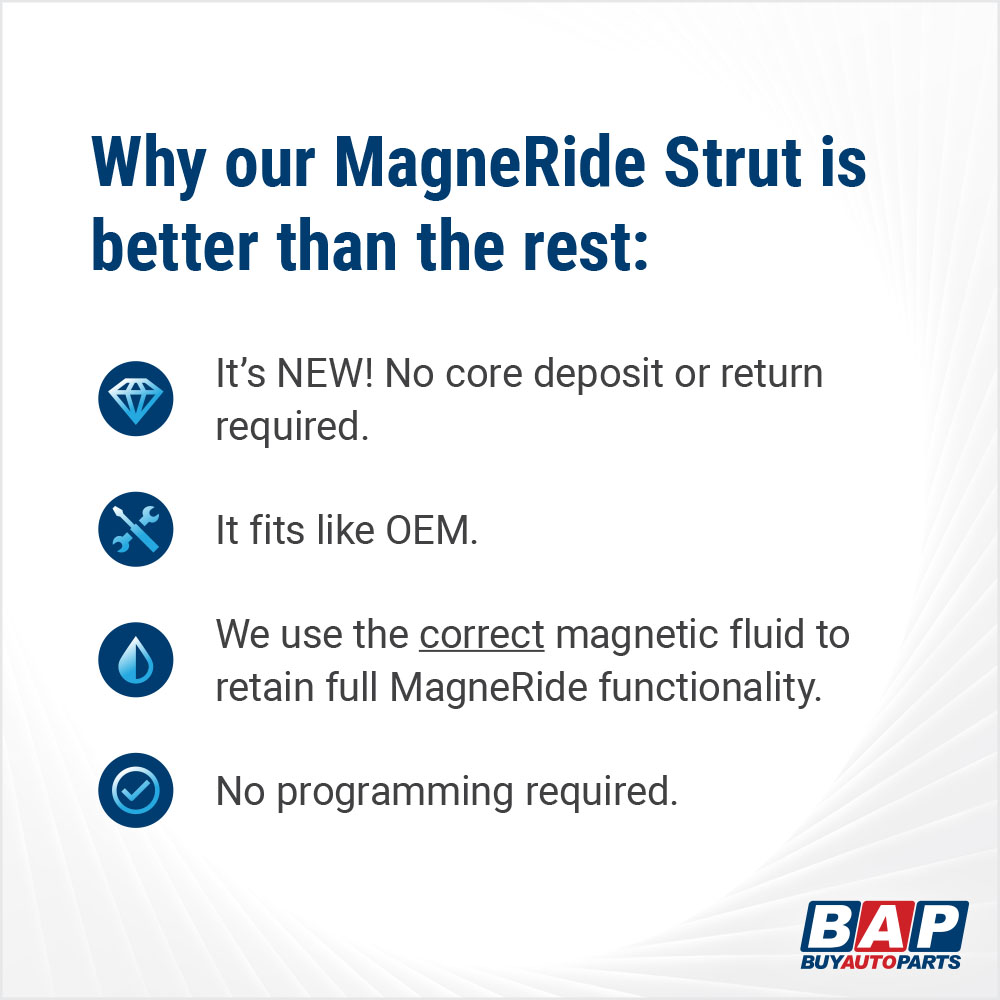 MagneRide Checklist