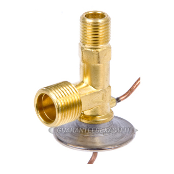 BuyAutoParts 60-40294 A/C Expansion Device