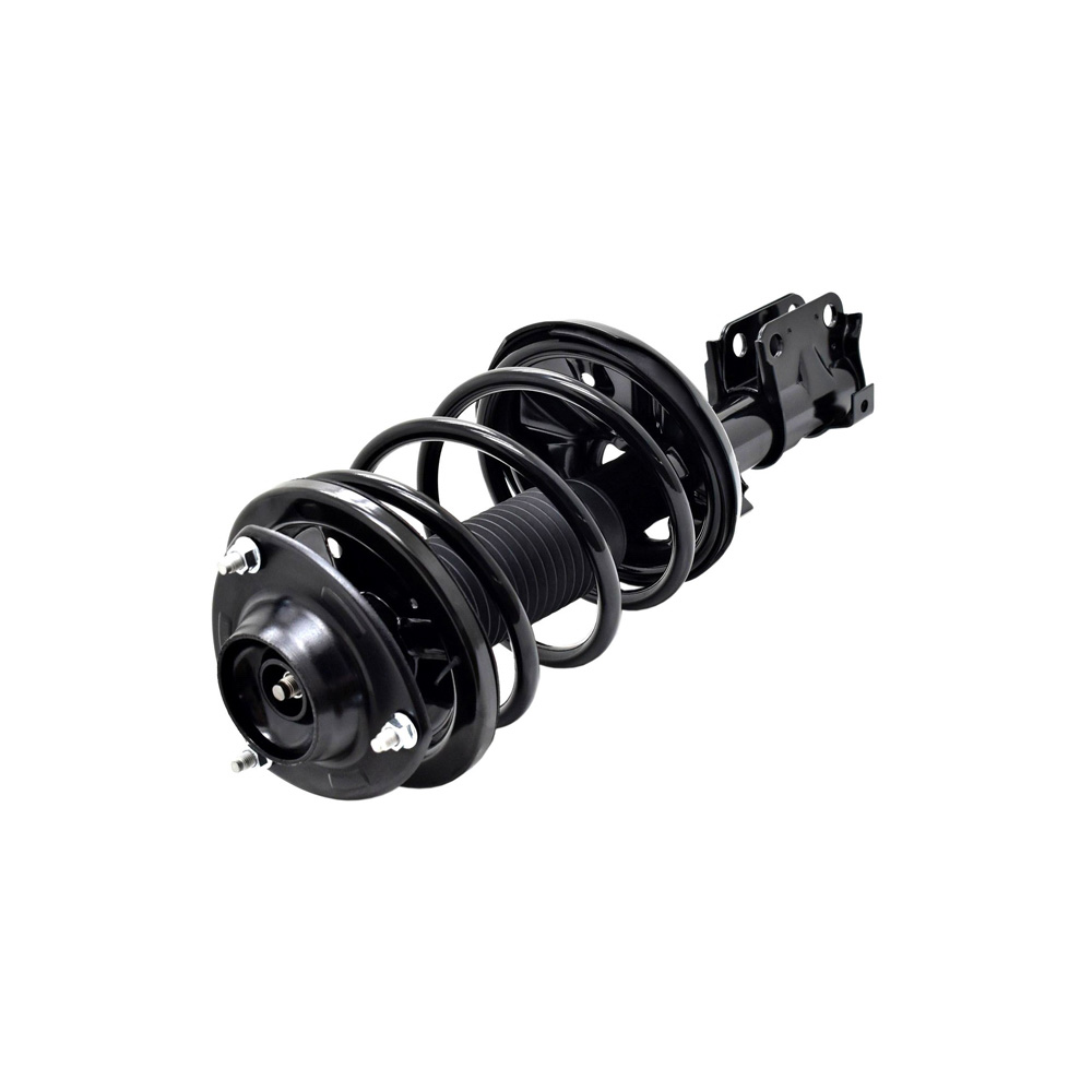 BuyAutoParts 75-21756CS Strut