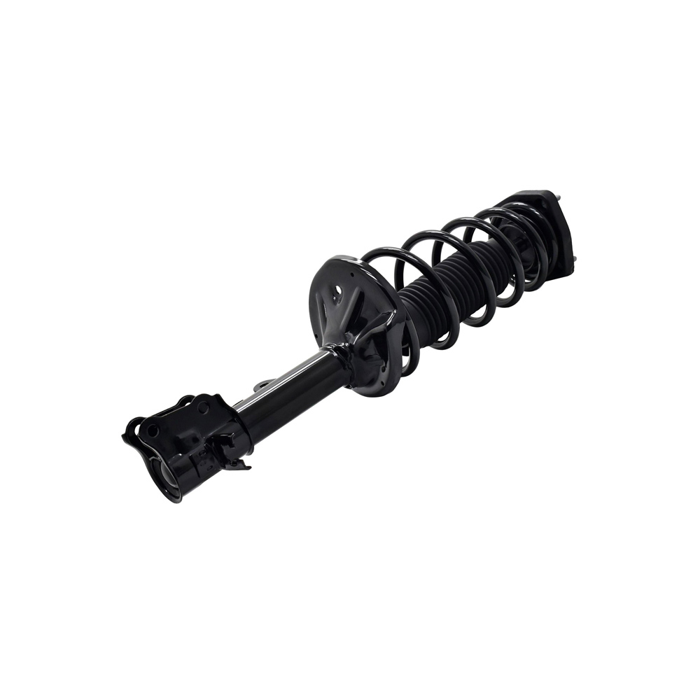 2009 Kia Spectra5 Strut