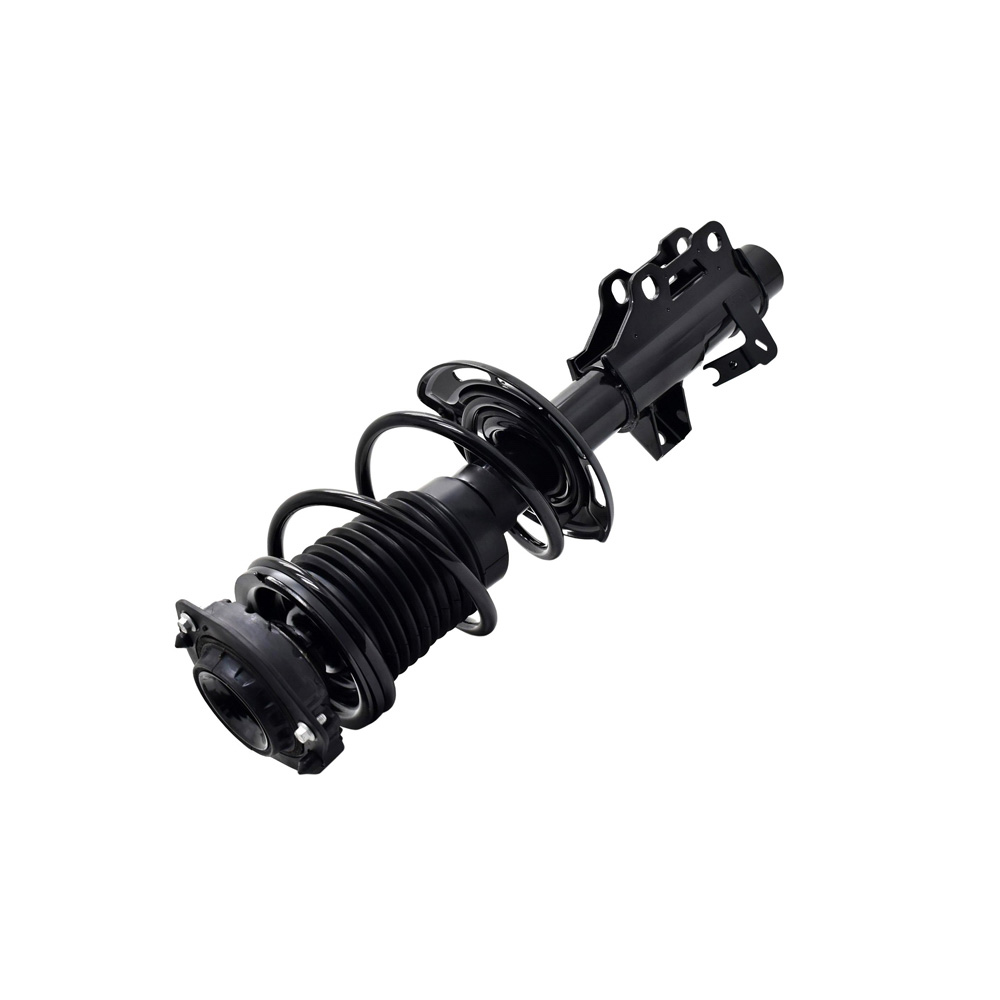 BuyAutoParts 75-28183CS Strut