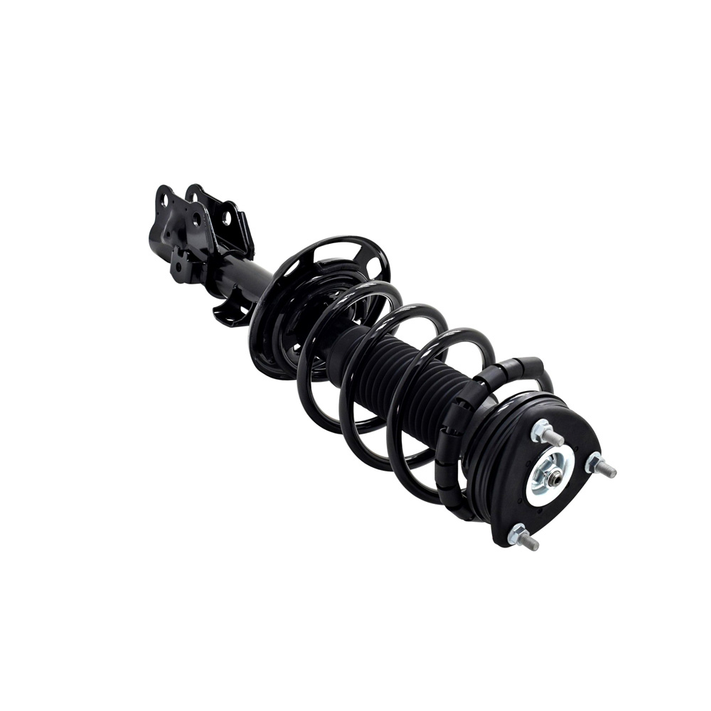 BuyAutoParts 75-28061CS Strut