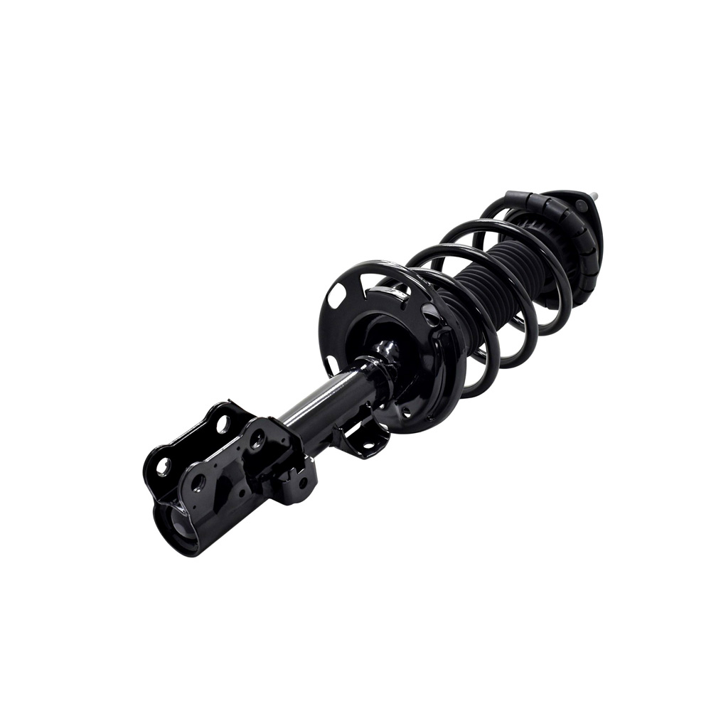BuyAutoParts 75-28061CS Strut