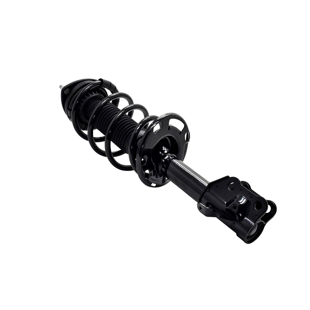 BuyAutoParts 75-28061CS Strut