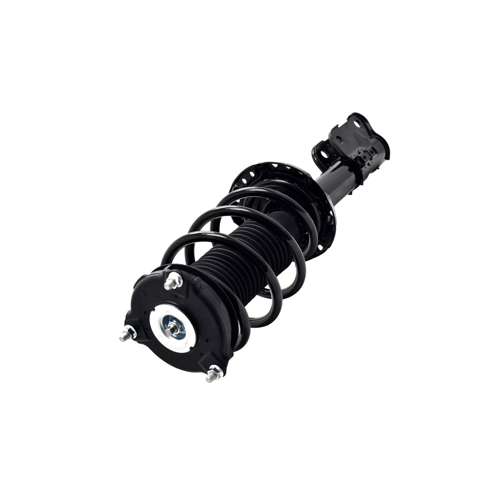 BuyAutoParts 75-28133CS Strut