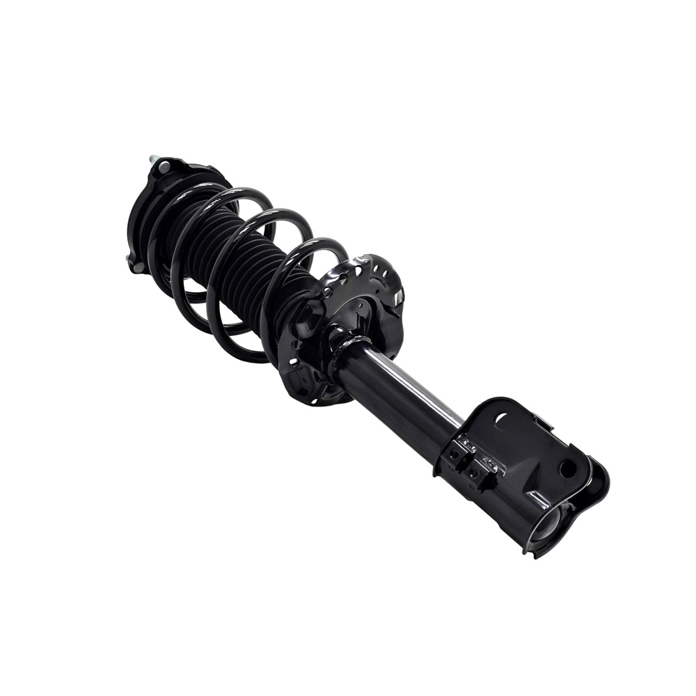 BuyAutoParts 75-28133CS Strut