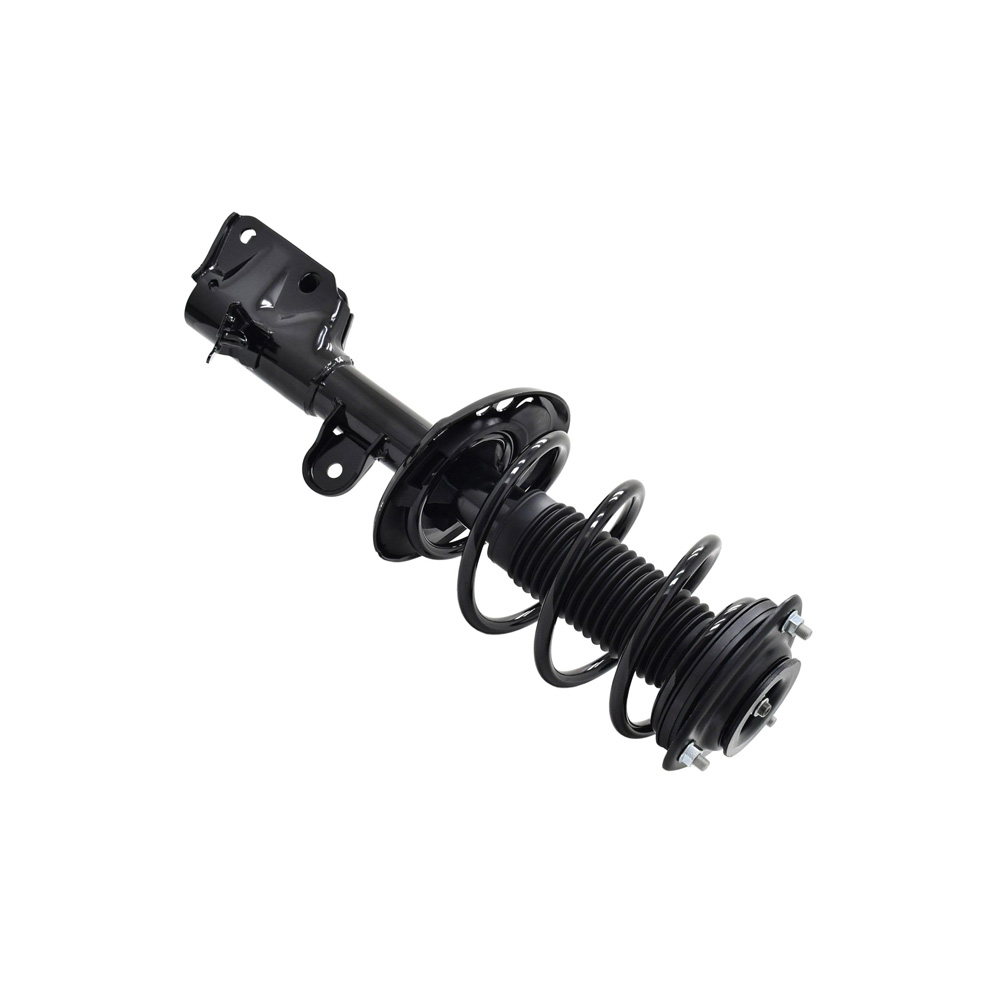 BuyAutoParts 75-28105CS Strut