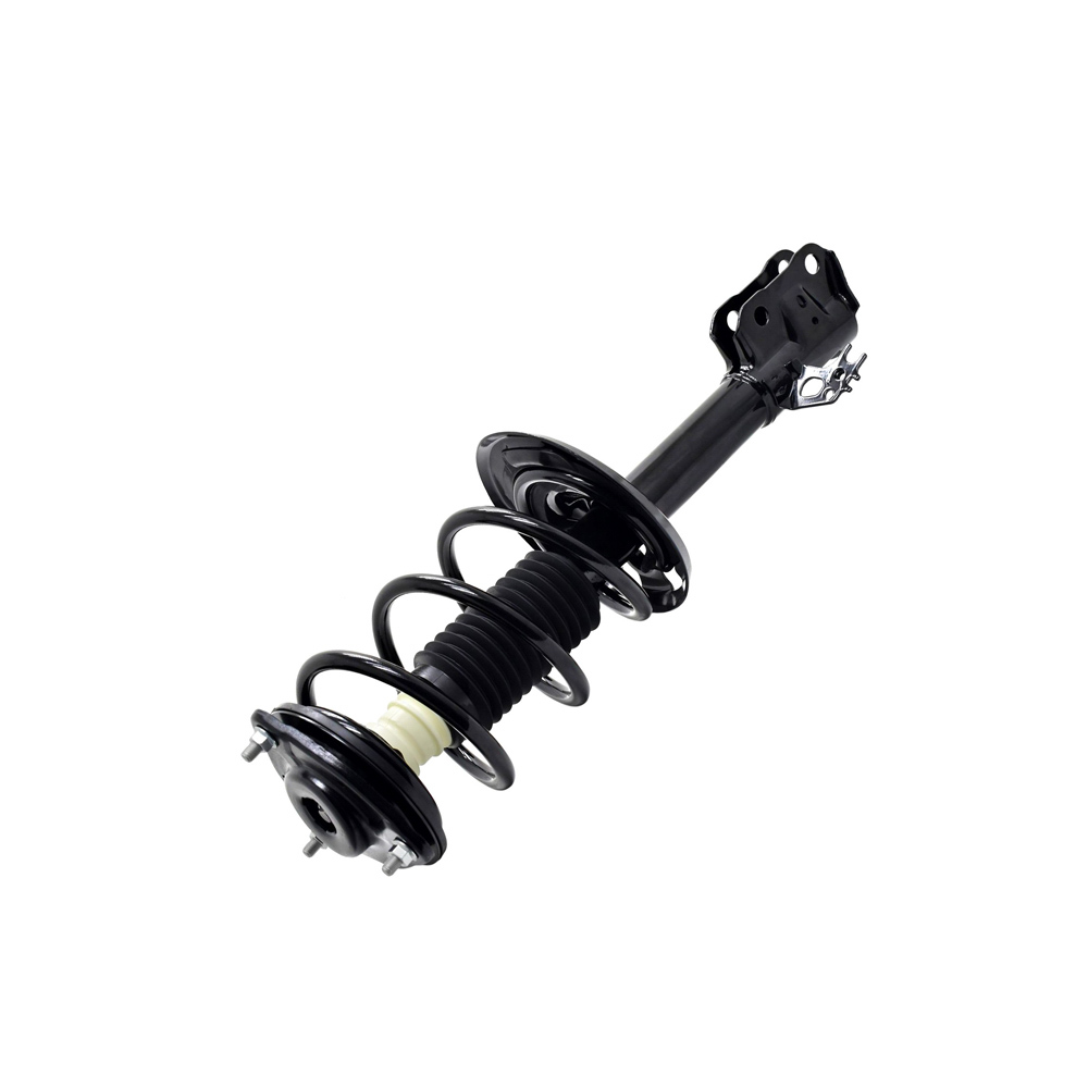 BuyAutoParts 75-28274CS Strut