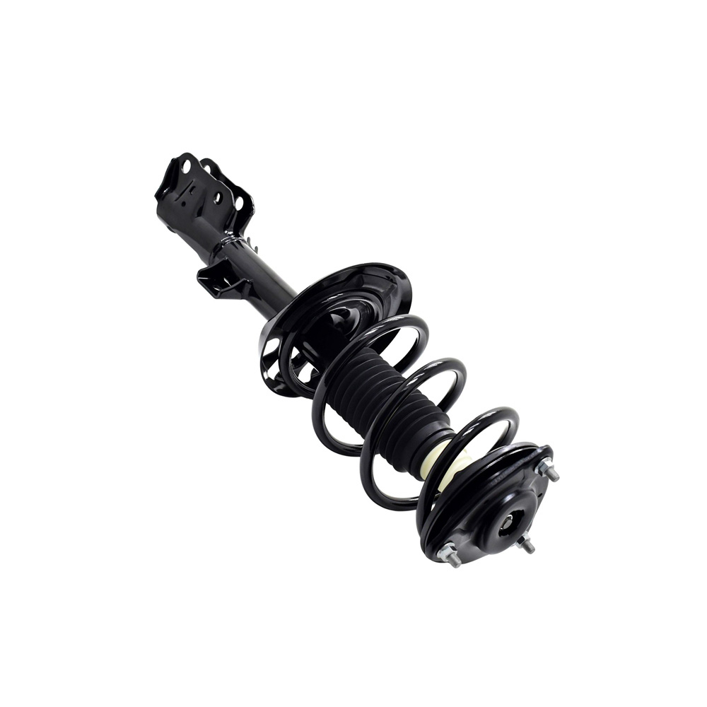 BuyAutoParts 75-28274CS Strut