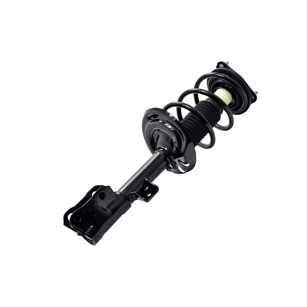 BuyAutoParts 75-28274CS Strut
