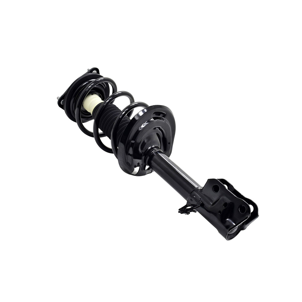 BuyAutoParts 75-28274CS Strut