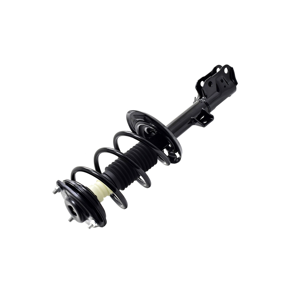 BuyAutoParts 75-28275CS Strut