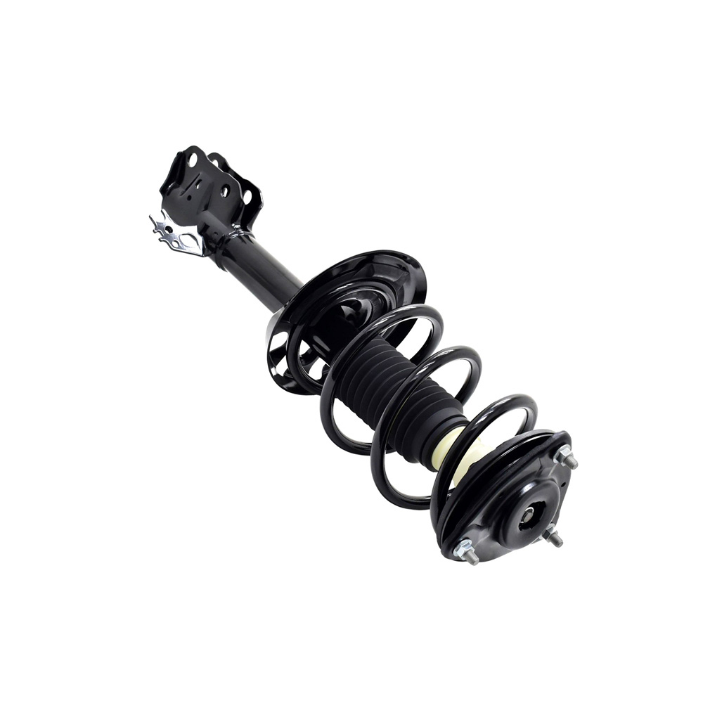 BuyAutoParts 75-28275CS Strut