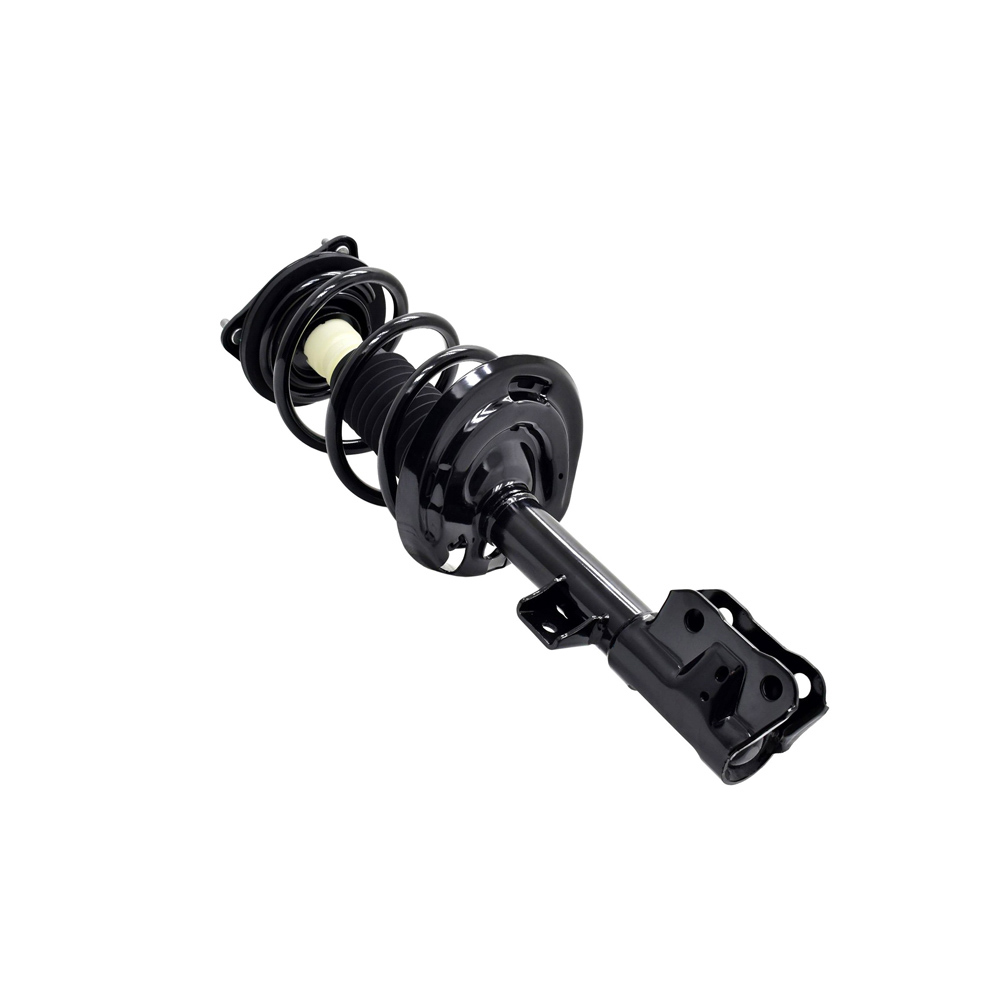 BuyAutoParts 75-28275CS Strut