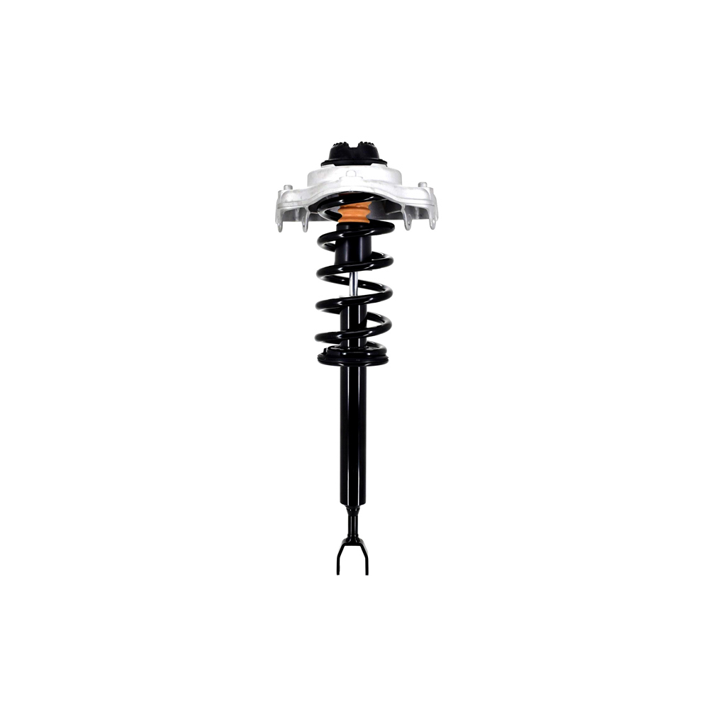 BuyAutoParts 75-22809CS Strut