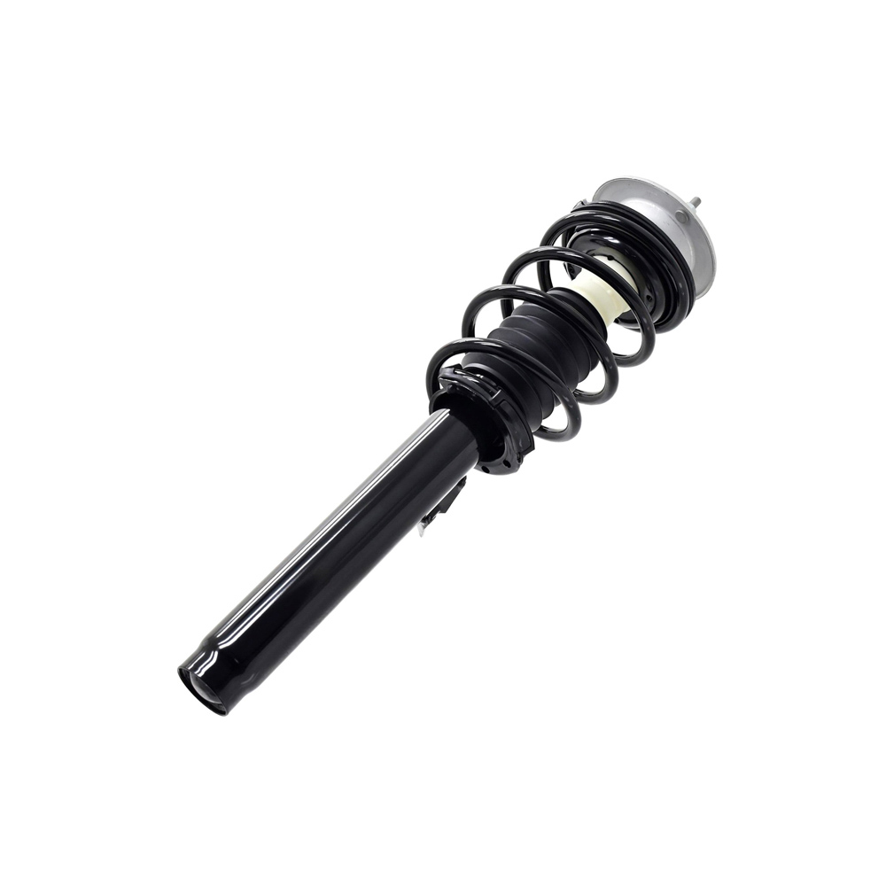 2013 Bmw X1 Strut