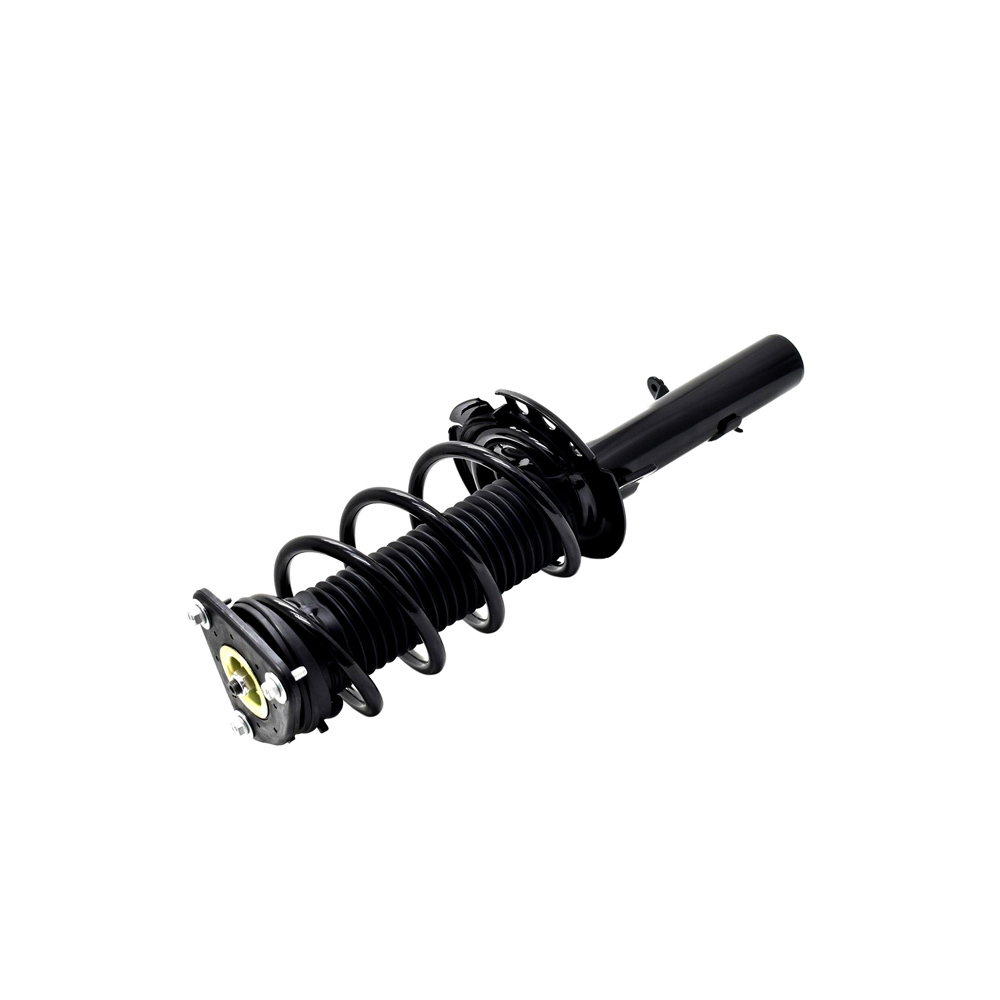 2014 Ford Focus Strut