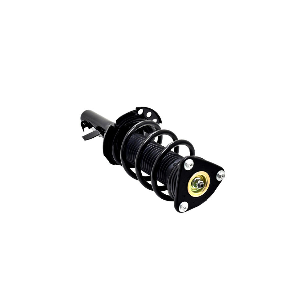 2014 Ford Focus Strut