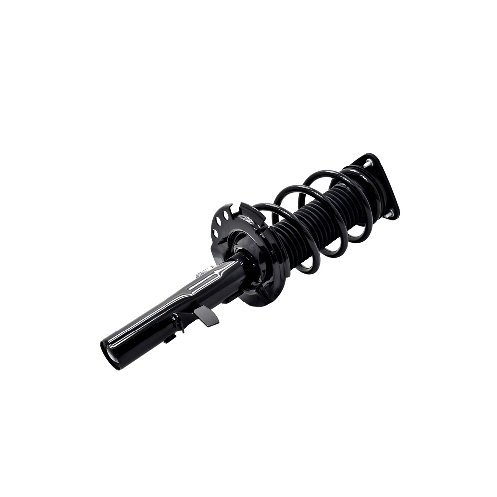 2014 Ford Focus Strut