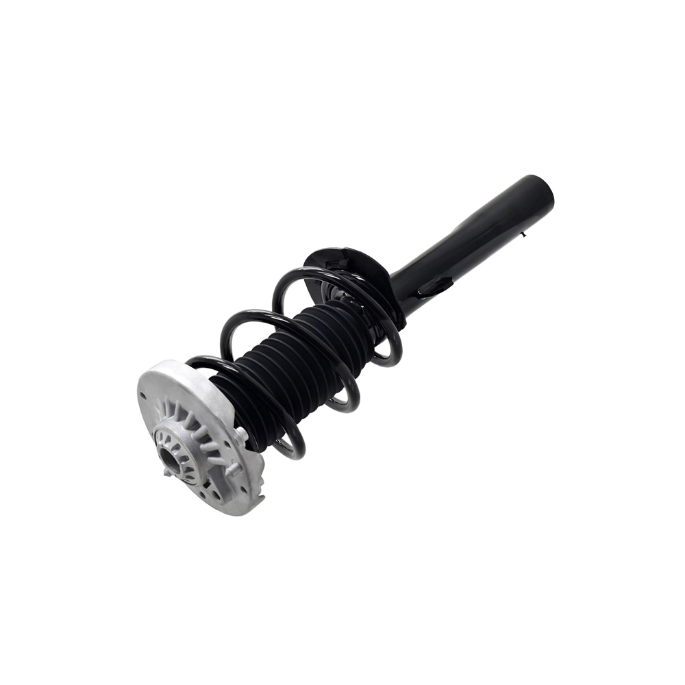 BuyAutoParts 75-28078CS Strut