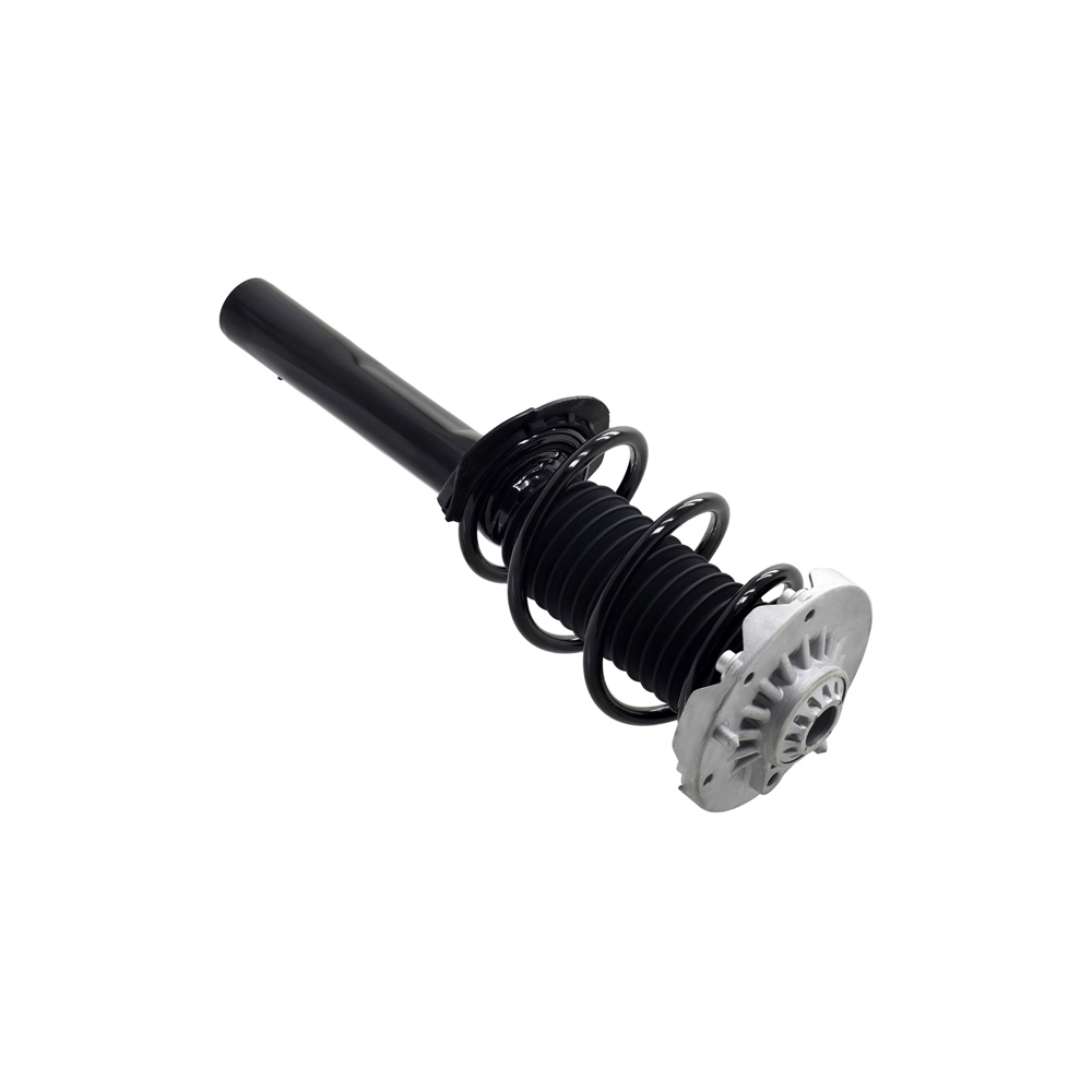 BuyAutoParts 75-28078CS Strut