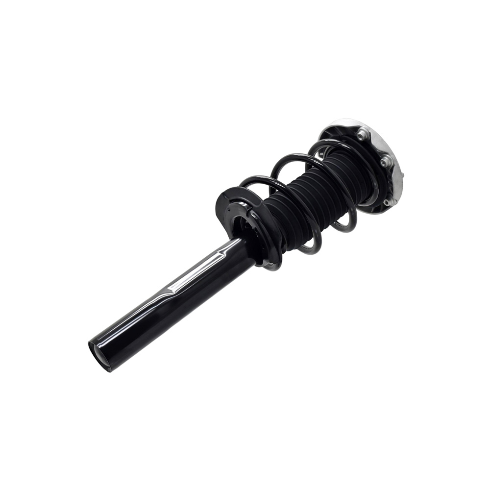 BuyAutoParts 75-28078CS Strut